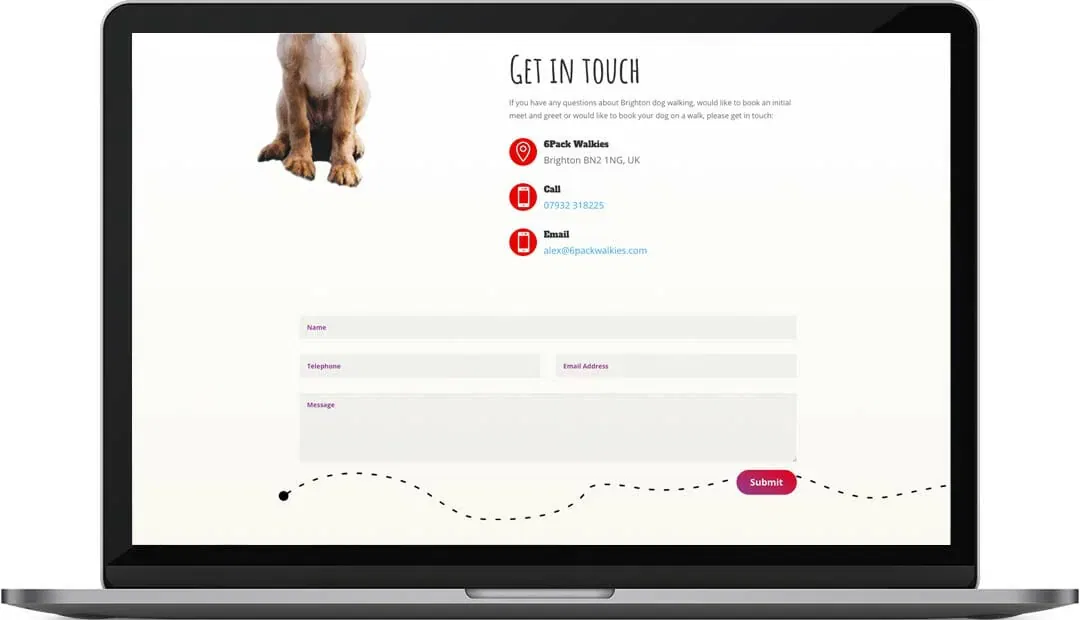 Brighton dog walking website design contact