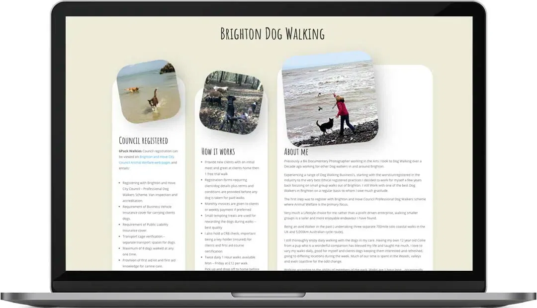 Brighton dog walking website design about