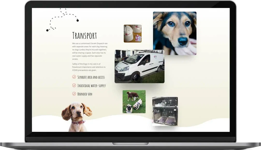 Brighton dog walking website design transport