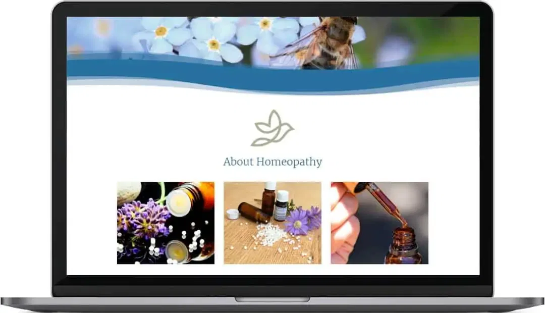 Hove Garden Homeopathy Web Design About