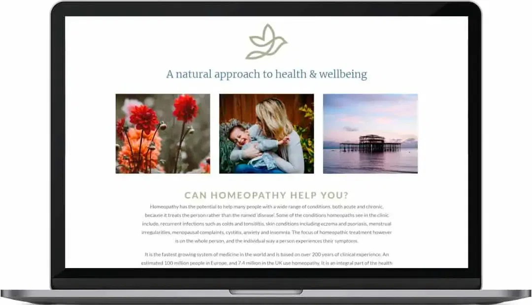 Hove Garden Homeopathy Web Design Home 2