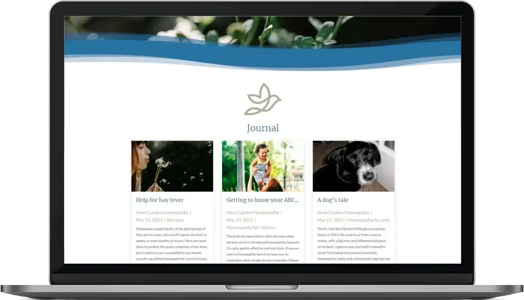 Hove Garden Homeopathy Web Design Journal