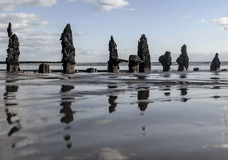 Web Designer in Brighton featured - Embracing the Shore 800x564