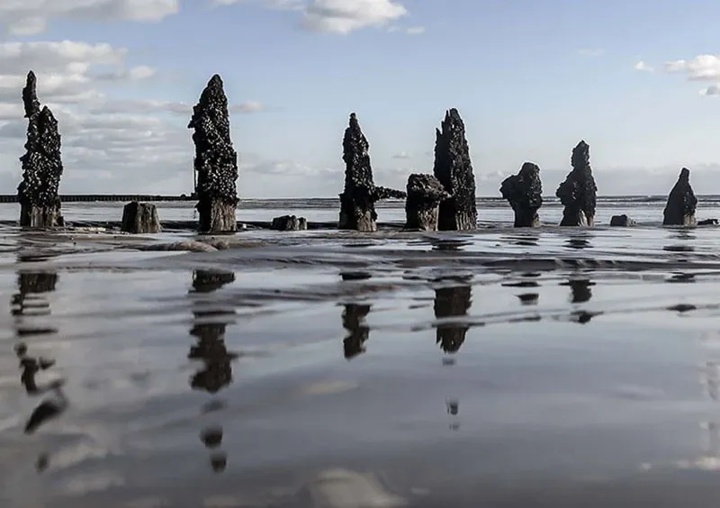 Web Designer in Brighton featured - Embracing the Shore 800x564