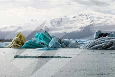 Brighton web design ice