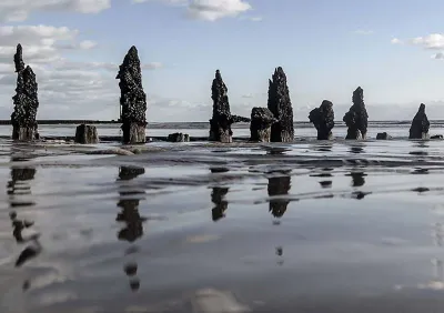 Web Designer in Brighton featured Embracing the Shore 800x564 1 11 Tools and resources - web designer in Brighton and Hove Web Designer in Brighton featured - Embracing the Shore 800x564